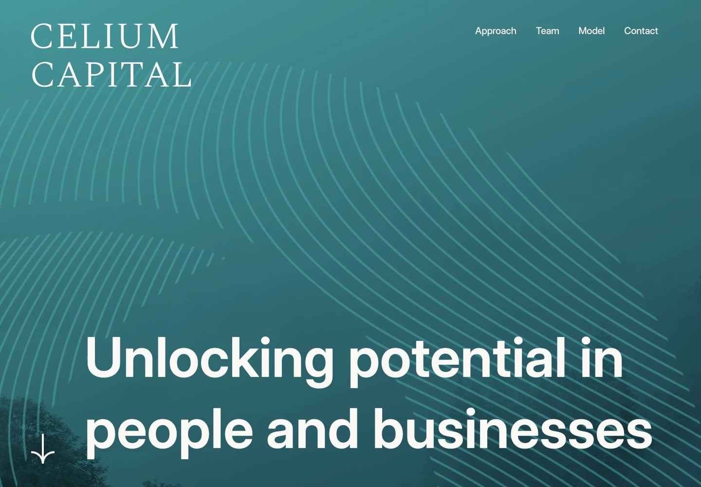 Celium Capital website presentation